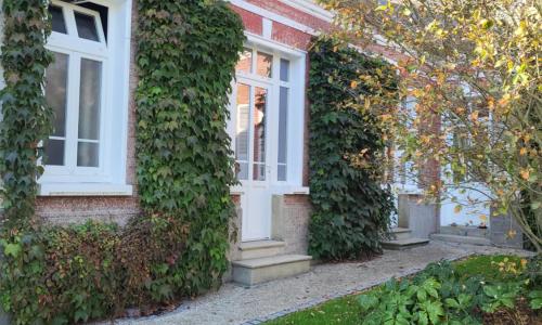 THE GREEN WOODPECKER