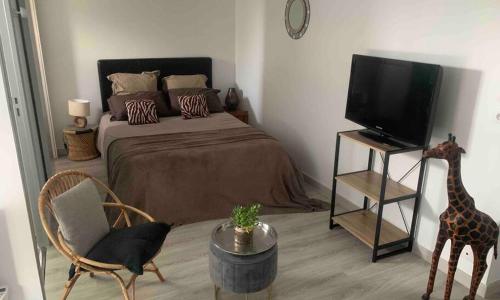 Ravissant studio en bord de mer