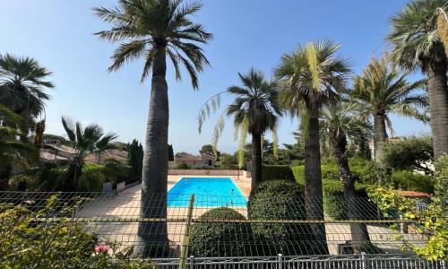 Luminous cocoon with swimming pool