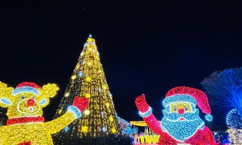 Superbe T2+Mezza en Bord de Mer