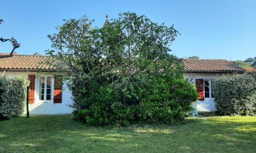 Maison Capbreton, 3 pièces, 4 personnes - FR-1-239-923