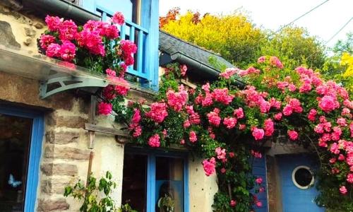 Entre terre et Ocean