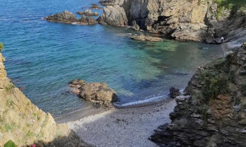 Appartement Argelès-sur-Mer, 1 pièce, 3 personnes - FR-1-732-2