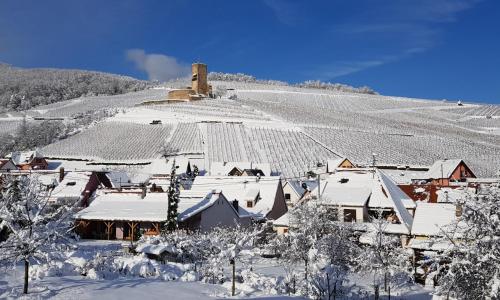 Sur la Route des Vins- très proche Colmar
