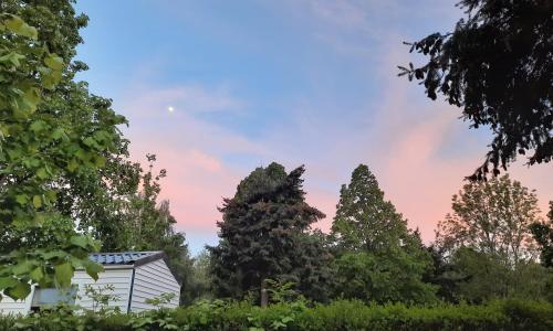 Standard Room photo