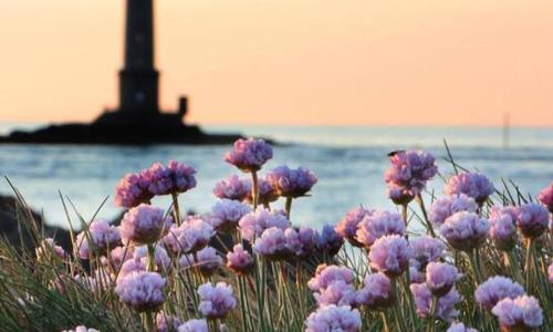 La petite maison de Coline