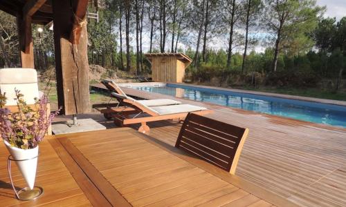 ENTRE CHEVREUIL ET CERF