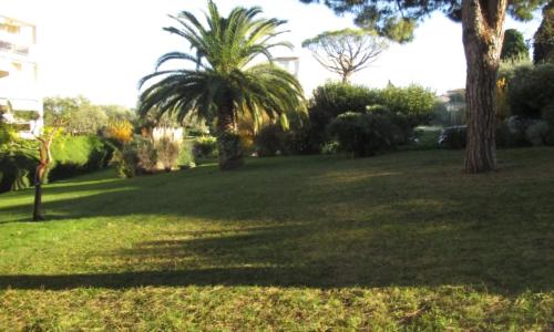 Charmant studio Antibes