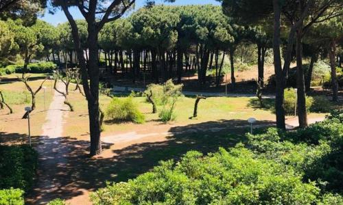 CENTRE VILLE LGM - BEAU STUDIO VUE SUR PARC POUR 3 PERSONNES - 1ERE LIGNE