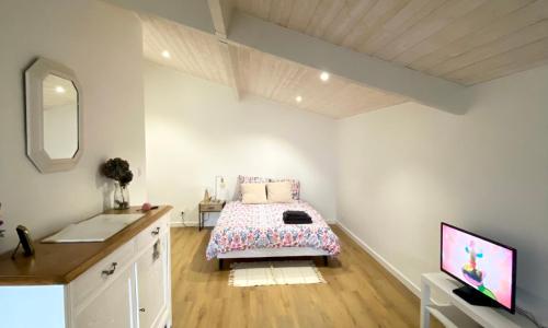 Chambre d’hôtes~Château Austerlitz