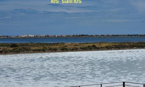 les salines