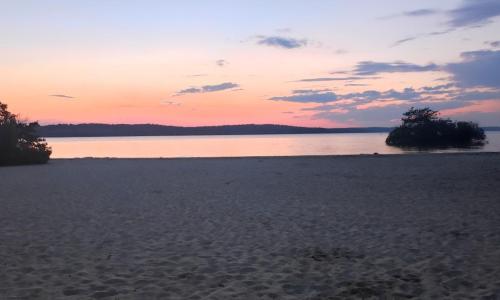 Au bonheur des Landes