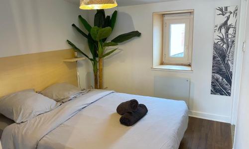 Standard Room photo