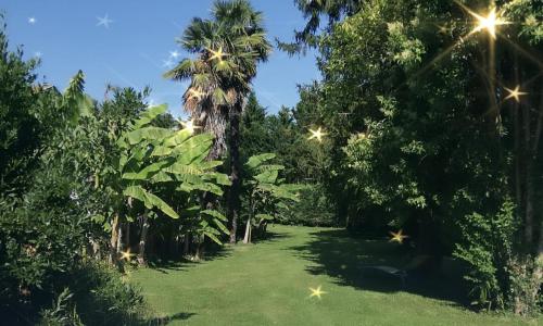 Charmant gîte 10 pers avec piscine, jacuzzi jardin