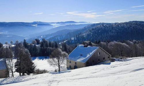 Guestroom Basse-sur-le-Rupt, 1 pièce, 2 personnes - FR-1-589-626