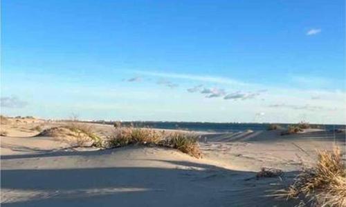 Joli Studio en bord de mer