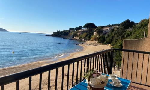 Appartement 1 chambre pieds dans l'eau TIUCCIA