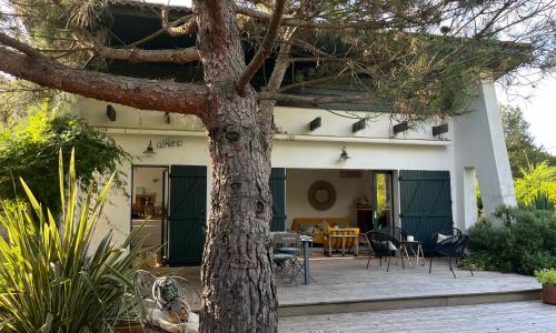 Villa Athena Cap-Ferret chez l habitant