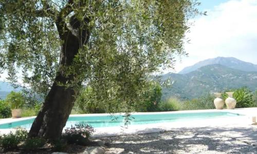 Stunning Mountain Views with Secluded Private Pool