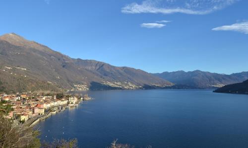 Solivonatural Apartment