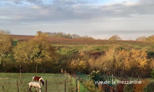 Chambre de la Divatte