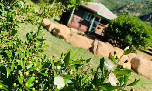 Chalet au calme à Sagone en Corse