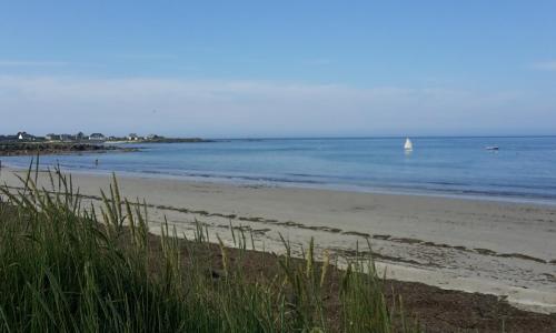 La palmeraie de brévy