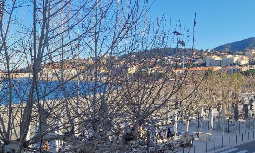 Appartement Banyuls-sur-Mer, 3 pièces, 4 personnes - FR-1-309-9