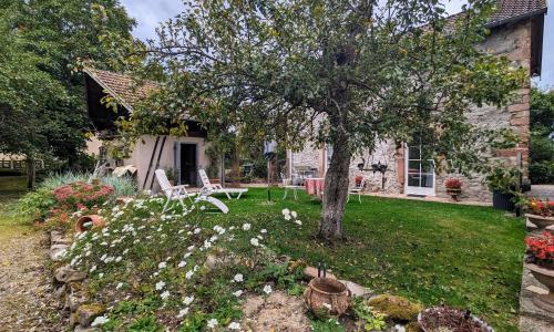 Gîte Saulcy-sur-Meurthe, 3 pièces, 4 personnes - FR-1-589-256