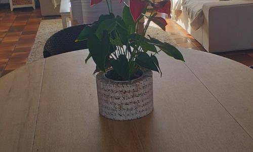 chambre avec vue sur les marais salants