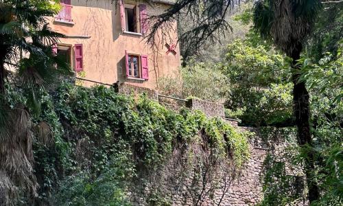 Mas cévenol bord de rivière piscine naturelle