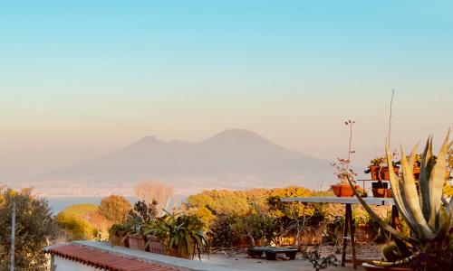 Vedi Napoli in Vacanza