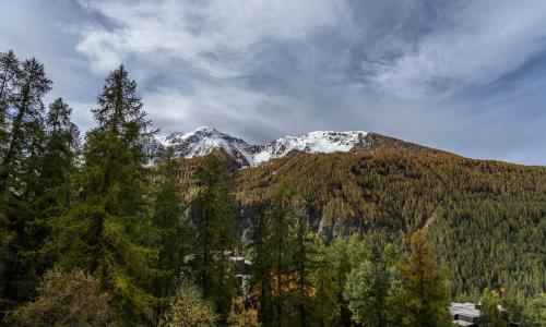 Résidence Les Ecrins - Studio pour 4 Personnes 224