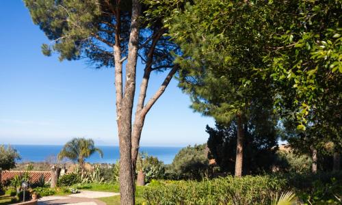 Villa Teresa Country Lodges