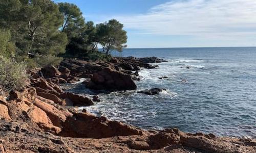 Boulouris - Appt 3/4 pers. bord de mer / piscine