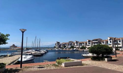 Appartement Le Barcarès, 2 pièces, 4 personnes - FR-1-195-106