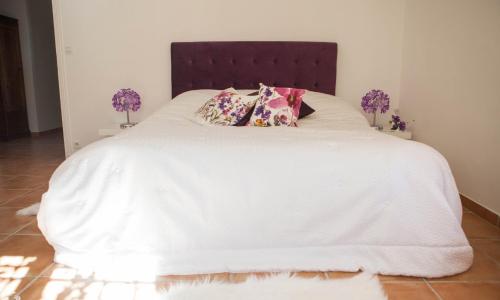 Deluxe Room photo
