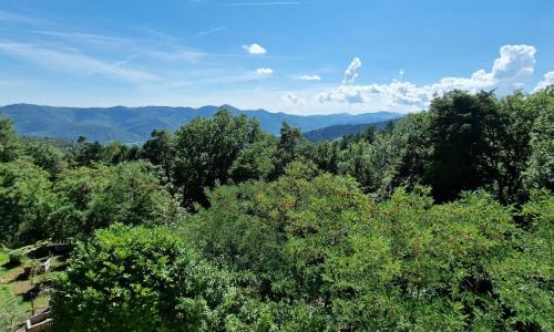 La Villa du Parc - Vosges & Alsace