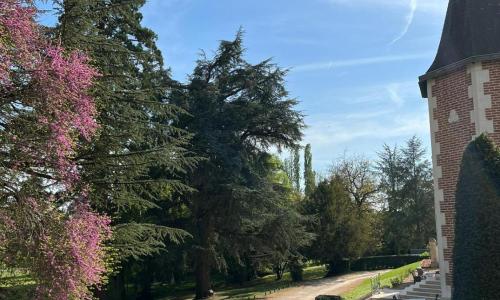 Grand Gîte Atypique au cœur du Pays des Châteaux