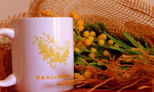 La Mimosa B&B