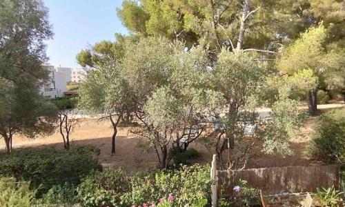 Coquet appartement avec piscine à 200m de la plage