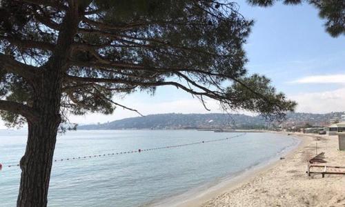 JUAN LES PINS, T2 Cosy et confortable, avec PARKING en sous-sol, proche plages et commerces