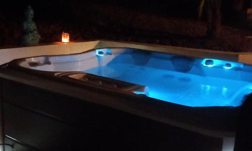 Le chant des oiseaux