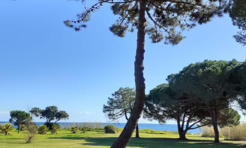 Bel appartement avec piscine- Poggio Mezzana