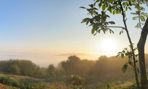 Gîte Saint-Étienne-au-Mont, 3 pièces, 5 personnes - FR-1-376-77