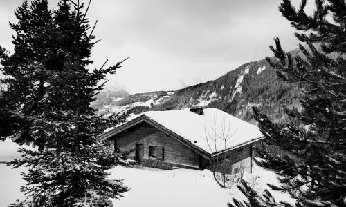 Chalet le Réconfort, accès skis aux pieds