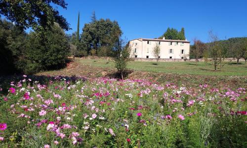 Les Jardins de Falguière
