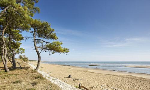 BUD HOUSE MAGNIFIQUE VILLA PROCHE DE LA MER
