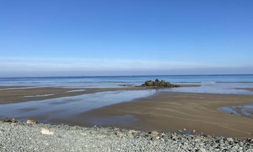 491 - Maison unique, les pieds dans l'eau, le long de la plage de Saint-Pabu