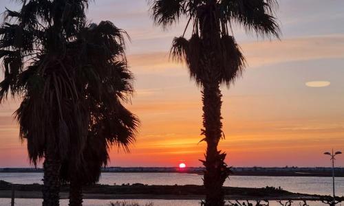 Logis des Palmiers YourHostHelper